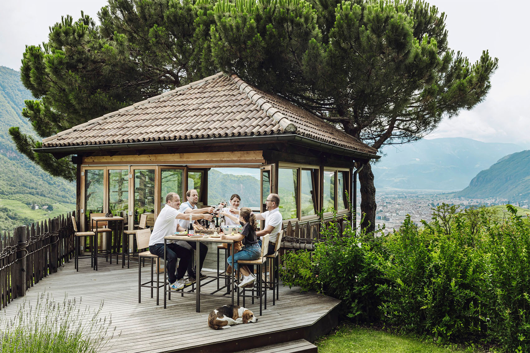 Wine Cellar Tour with Wine Tasting